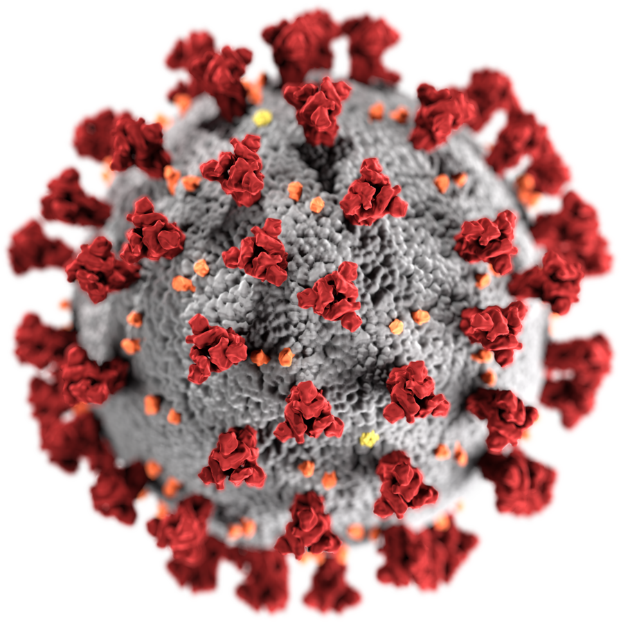 SARS-CoV-2.png SARS-CoV-2.png
