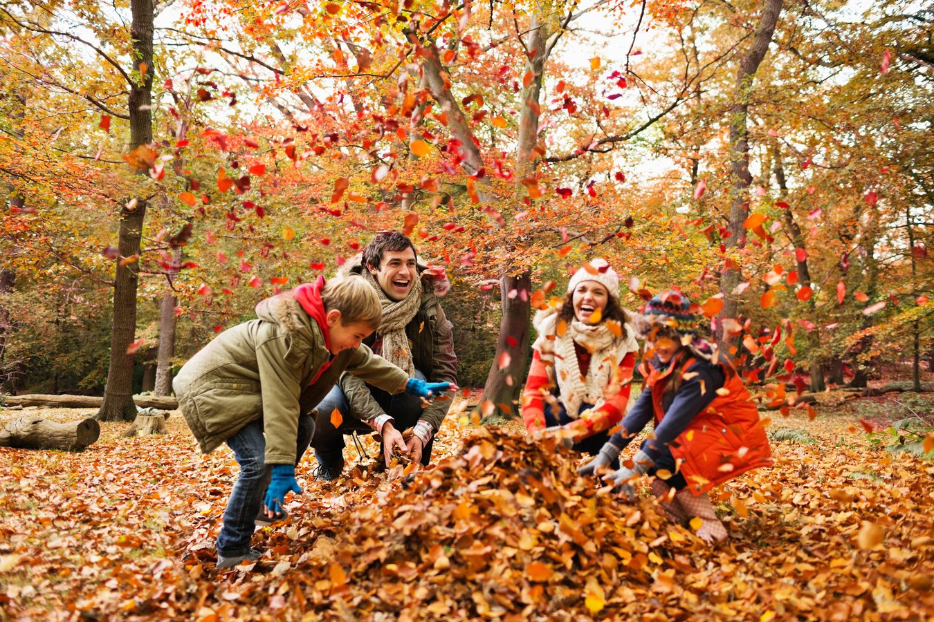 Familien_Herbst.jpeg Familien_Herbst.jpeg