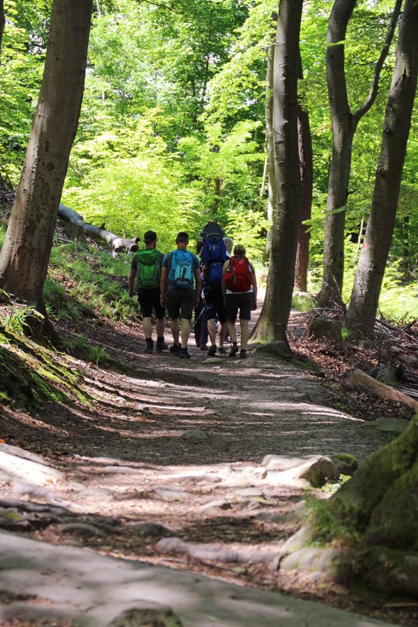 Wandern__U._J._Alexander.jpeg Wandern__U._J._Alexander.jpeg